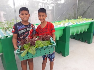 2 children by hydro farm